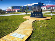 汕头天华矿业集团